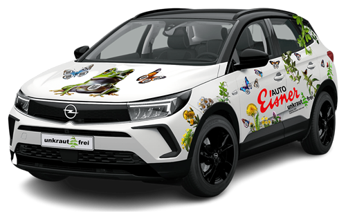 Opel Grandland electric 2025 Dreiviertelansicht