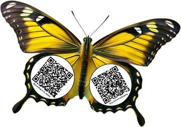 Zitronenfalter mit QR Codes