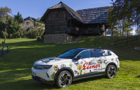 unkrautfrei-2025°10°18-01