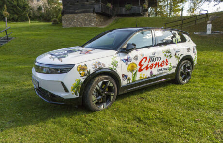 unkrautfrei-2025°10°18-04