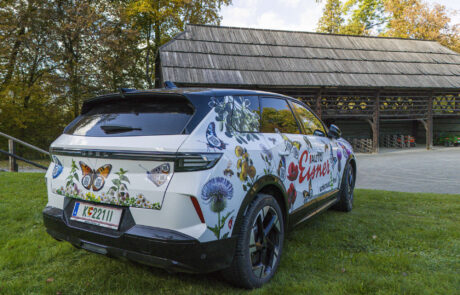 unkrautfrei-2025°10°18-07