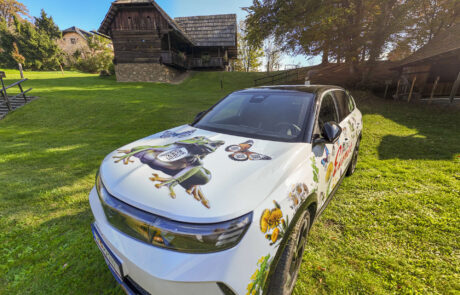 unkrautfrei-2025°10°18-12