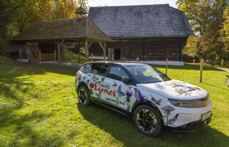 unkrautfrei-2025°10°18-14