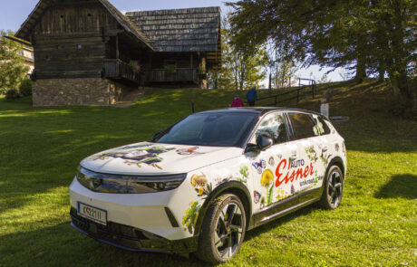 unkrautfrei-2025°10°18-15