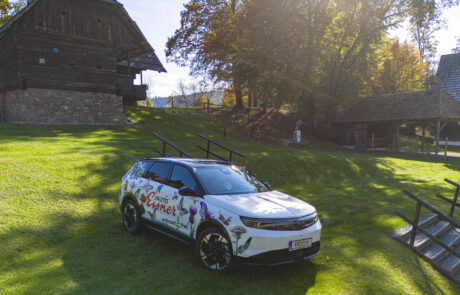 unkrautfrei-2025°10°18-17