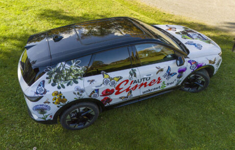 unkrautfrei-2025°10°18-31