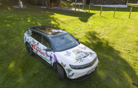 unkrautfrei-2025°10°18-33