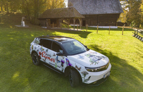 unkrautfrei-2025°10°18-34