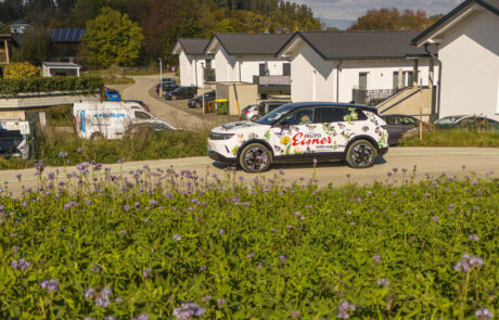 unkrautfrei-2025°10°18-35