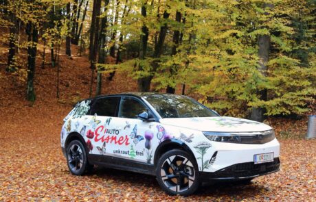 Promo Wagen: Herbst am Pyramidenkogel